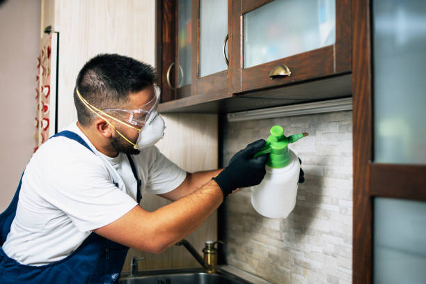 Best Pest Removal Services  in Glen Rose, TX