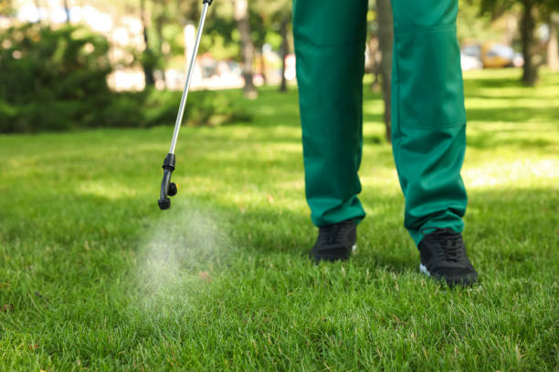 Best Residential Pest Control  in Glen Rose, TX