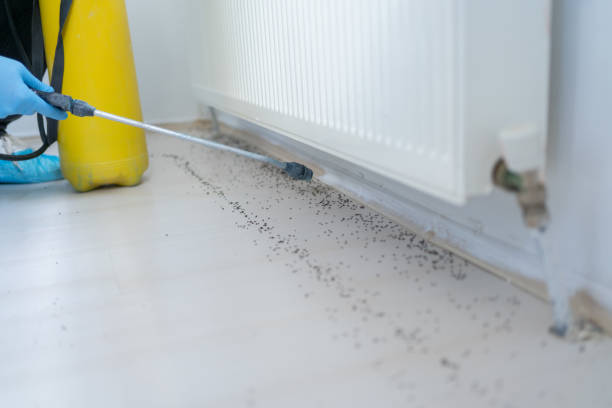Best Exterminator Services  in Glen Rose, TX
